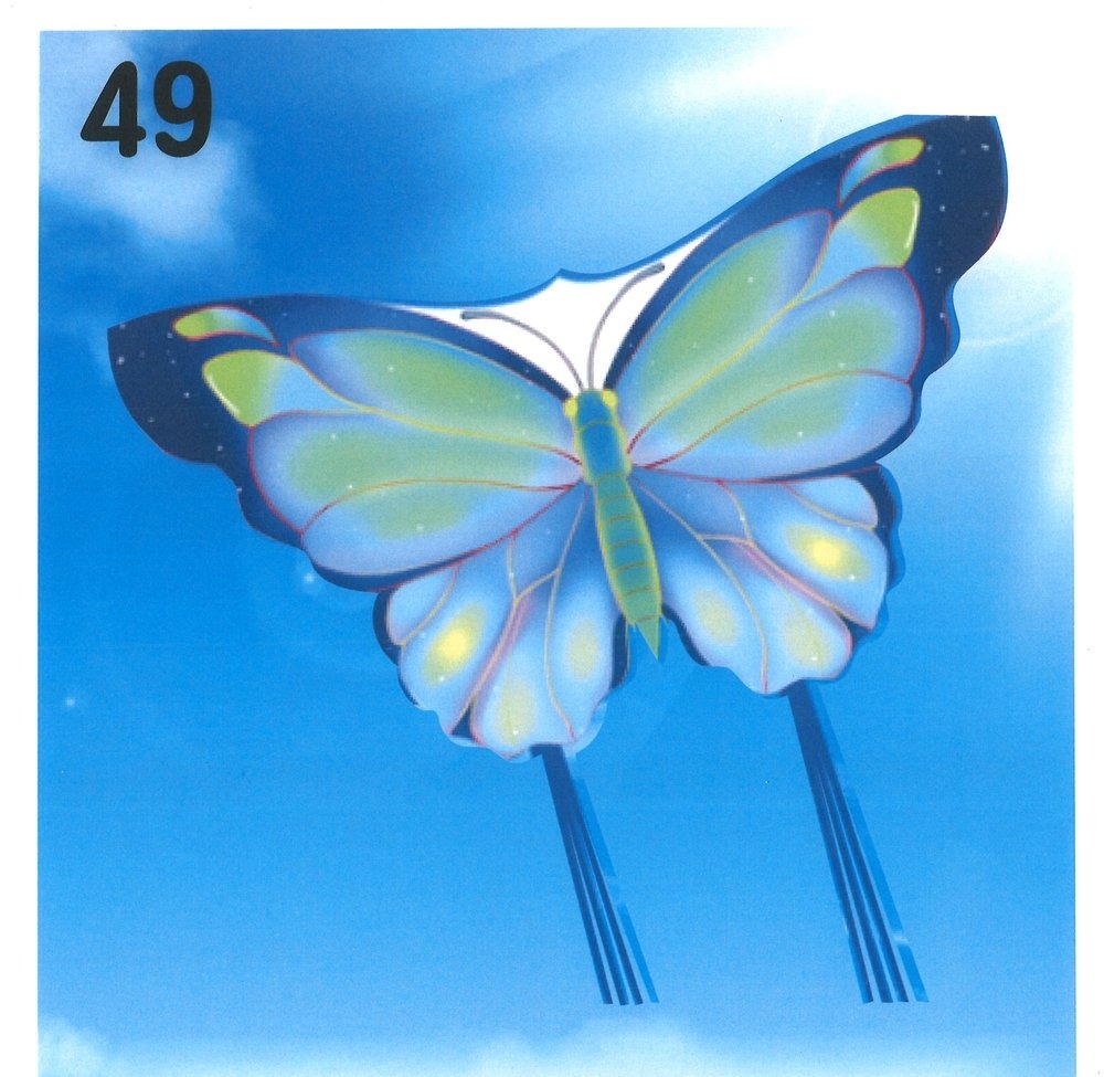藍彩蝶 Blue Butterfly 風箏