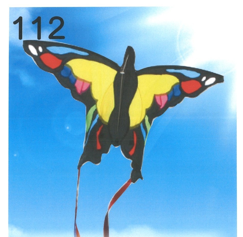 彩蝴蝶 Colorful Butterfly 風箏