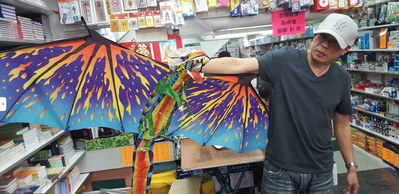 CS Kites 志成香港風箏店 — 放風箏樂趣