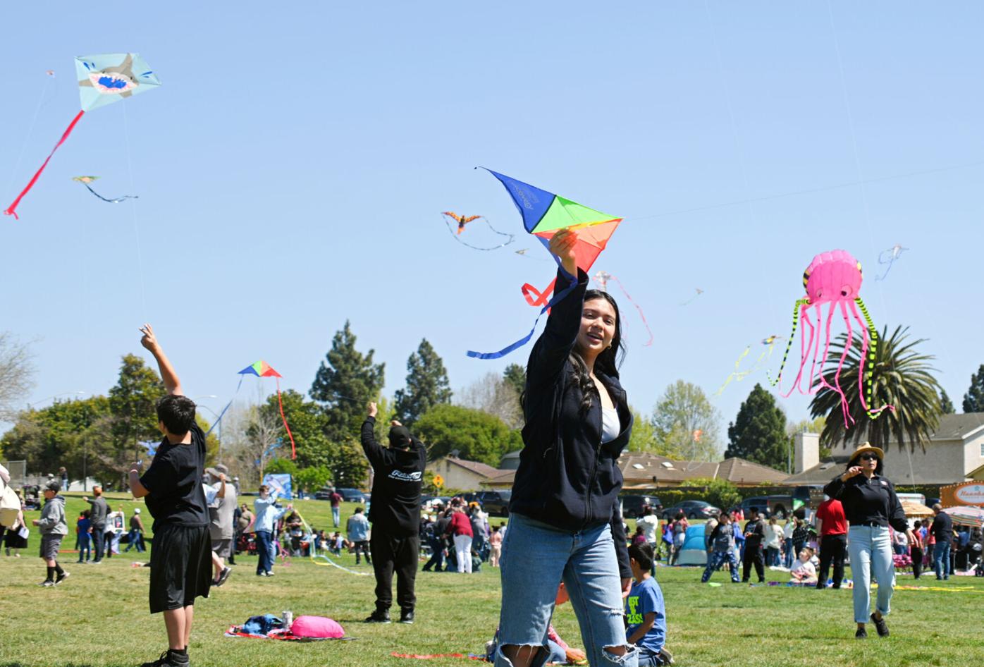 數碼港公園家庭放風箏