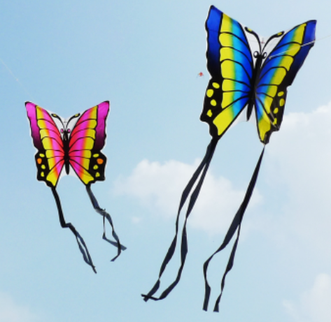 情侶蝴蝶風箏