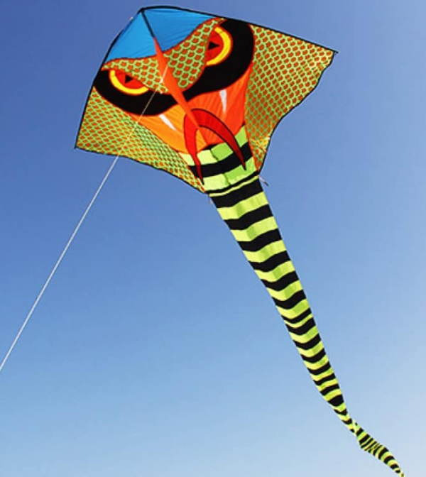 特大龍形風箏 3米