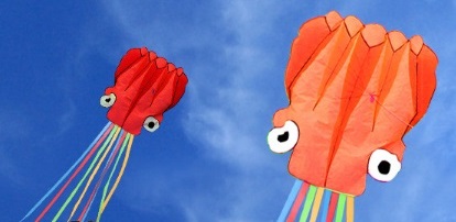 立體章魚風箏 2米