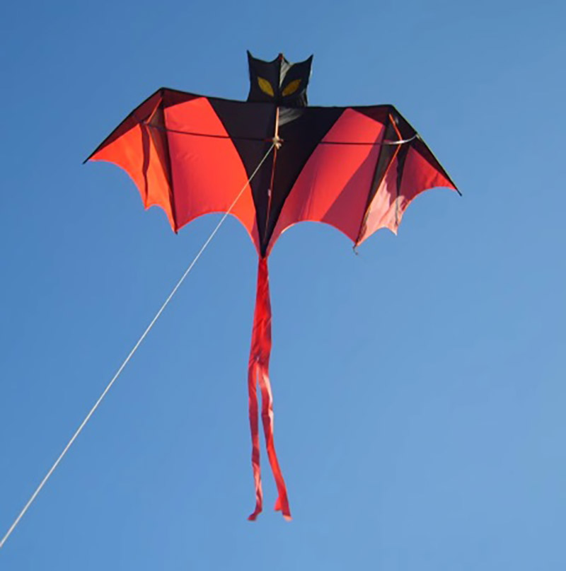 1.6米 蝙蝠 風箏