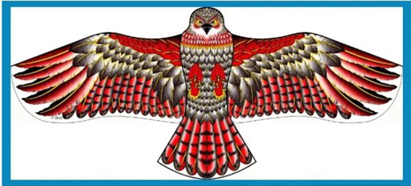 1.2米 鷹風箏 (紅鷹 / 黑紅金鷹 / 火紅金鷹 / 黑鷹)