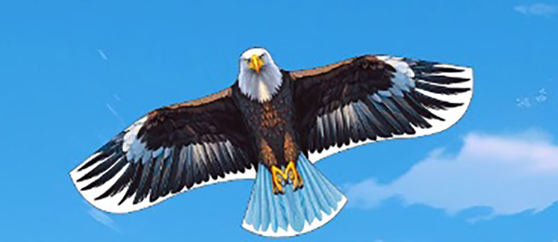 1.7米 白頭鷹風箏 ～ 尺寸：120cm (W)  x 70cm (H)