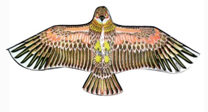 1.8米 金鷹風箏 ～ 尺寸：180cm (W) x 80cm (H)