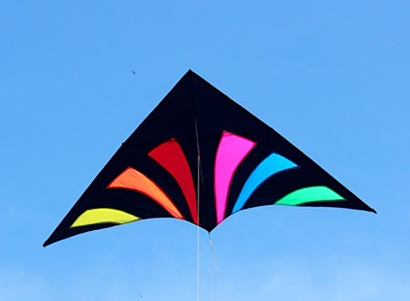 2.8 米禮花風箏 (售罄)