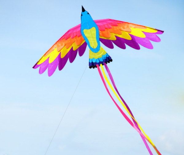 1.8米 彩鳥 風箏 (無燈)