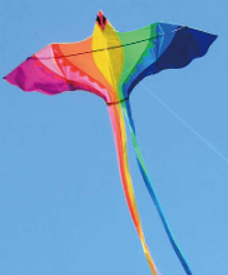 2米 七彩鳳凰風箏 ～ 尺寸：200cm (W) x 69cm (H) + 尾 300cm