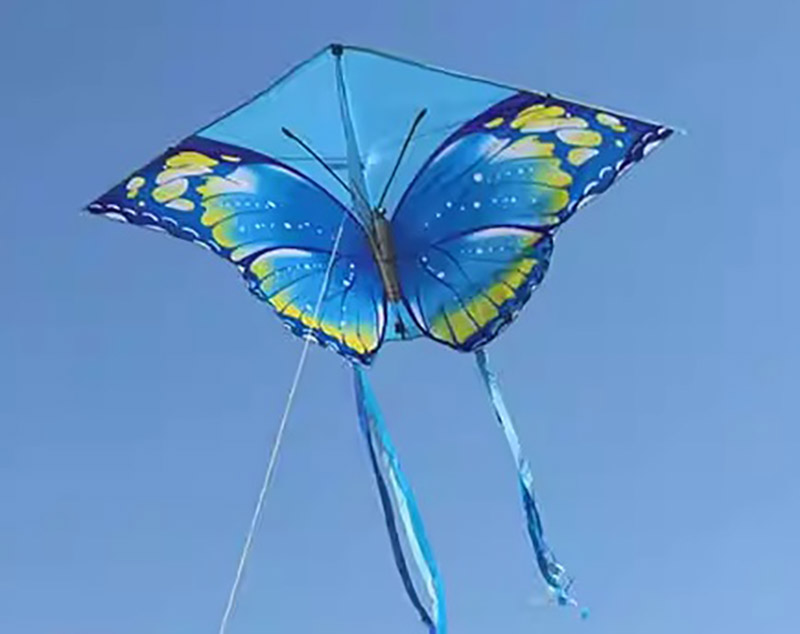 倩侶蝴蝶 風箏 (1對～藍蝴蝶 / 紅蝴蝶)