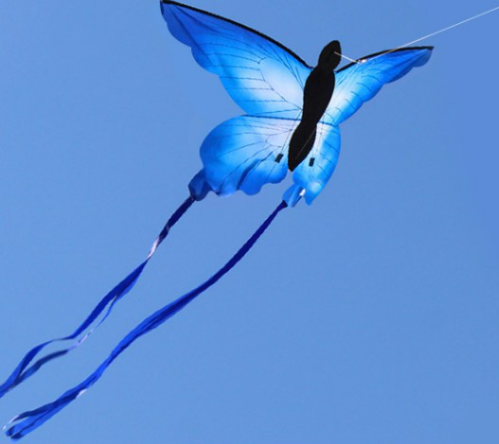 藍蝴蝶 風箏 (無燈)