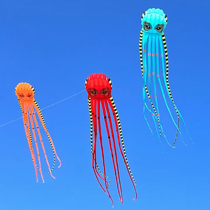 8米魔力八爪魚 4