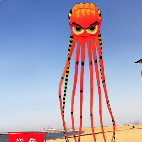 8米魔力八爪魚 6