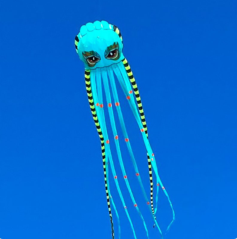 8米魔力八爪魚 7